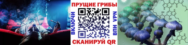 Купить где Большой Камень Галлюциногенные грибы мухоморы